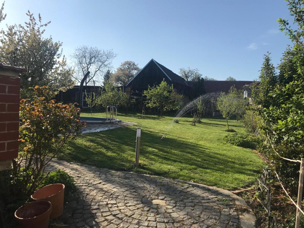 Helle, Offene Dachgeschosswohnung Mit Terrasse Oberloisdorf Exteriör bild